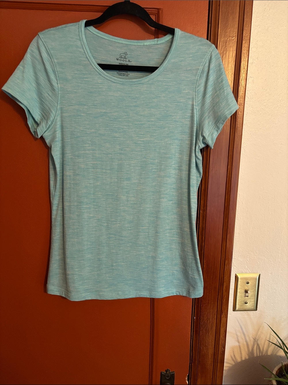 Woolx Addie Crew All Season Tee
